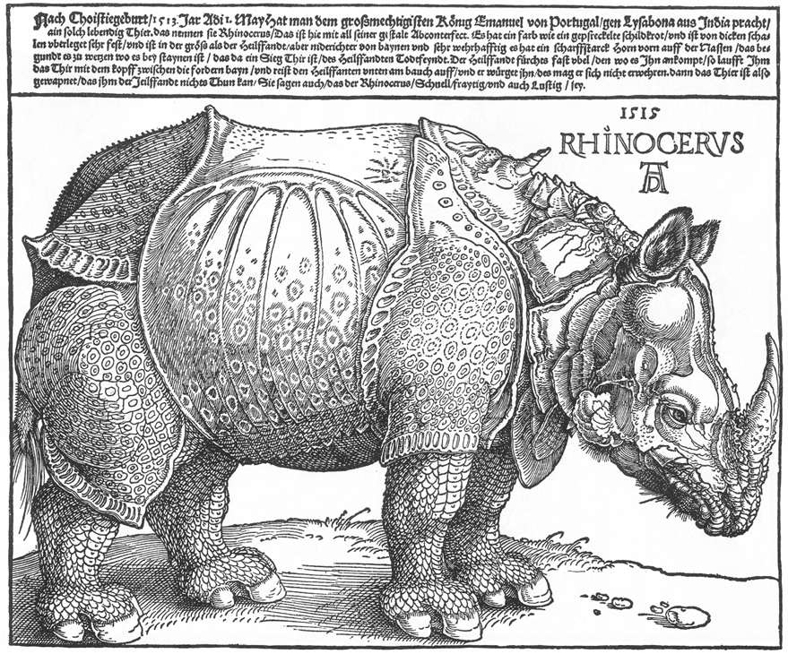 [Alberto+Durero+-+Rhinocervs+-+Xilografía+1515.jpg]