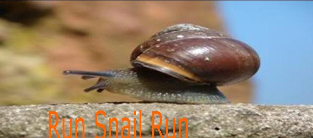 Run Snail Run