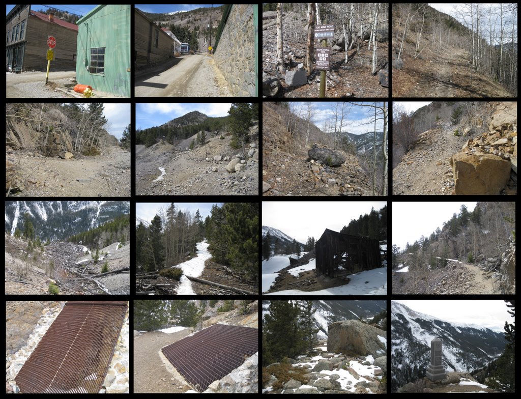 "minutiae" by Nathan Abels Silver Plume Griffin Memorial Hike MegaPost