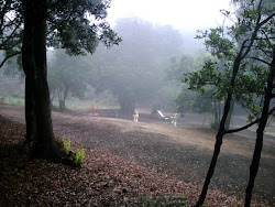 La Hoya del Pino