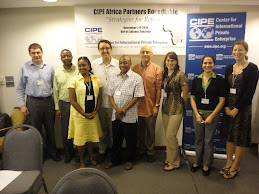CIPE Africa Partners Round Table