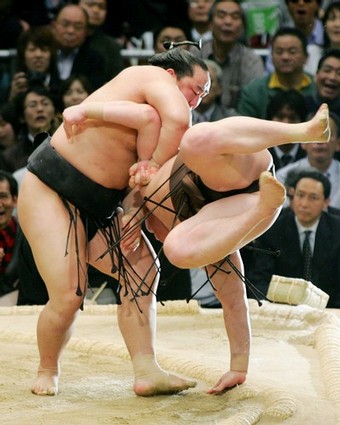 [Sumo+3.jpg]