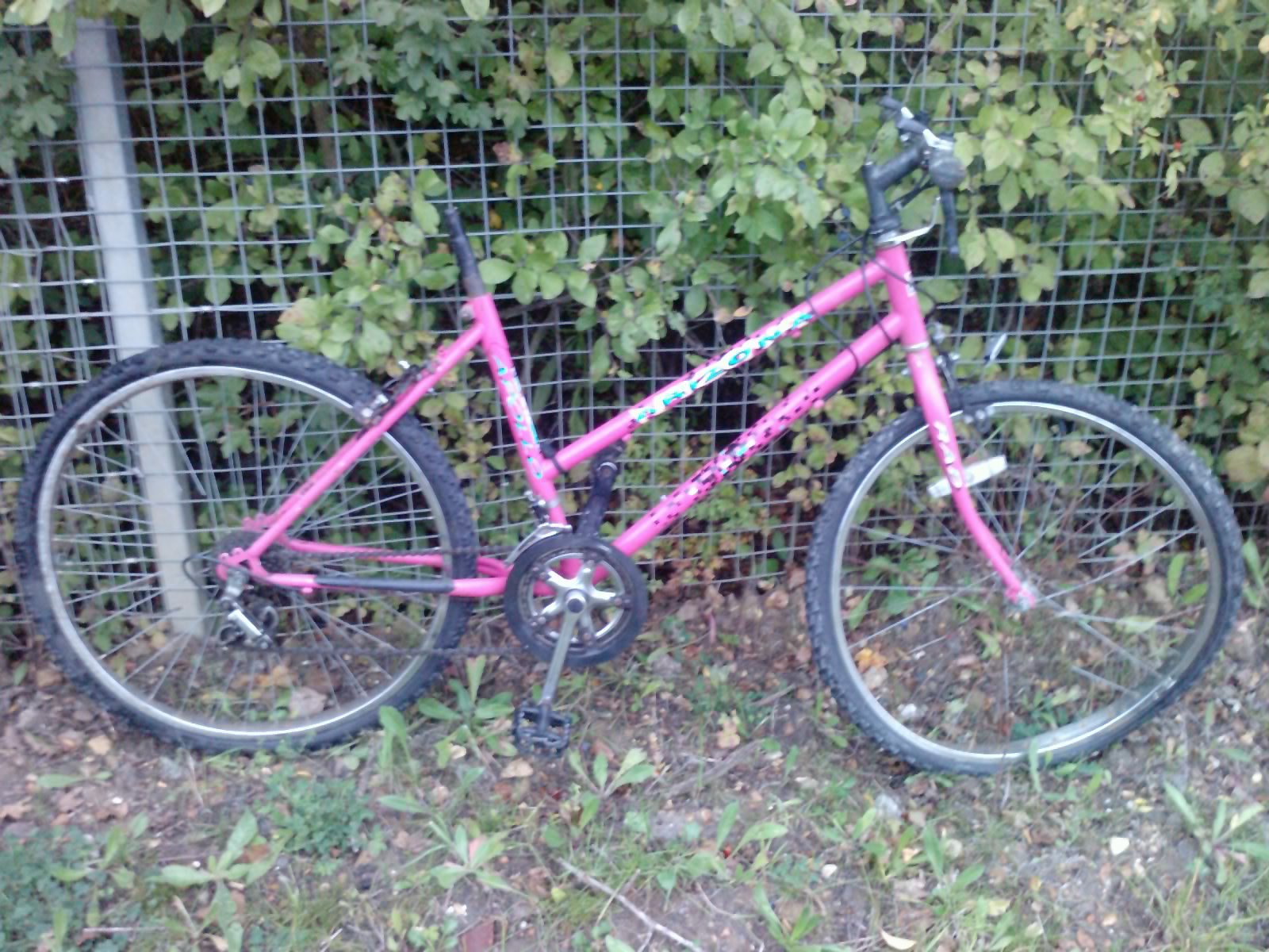 pink ladies bike