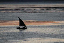 dream dhow sunset