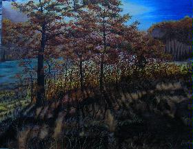 [atardecer+en+trevinca.webp]