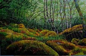 [subindo+a+trevinca.webp]