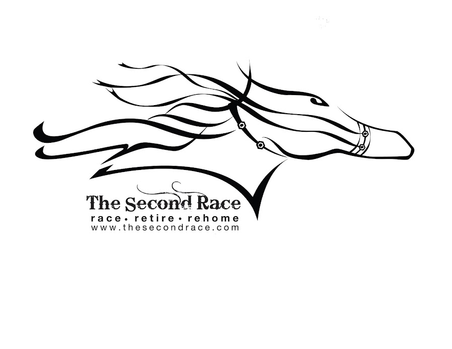 The Second Race