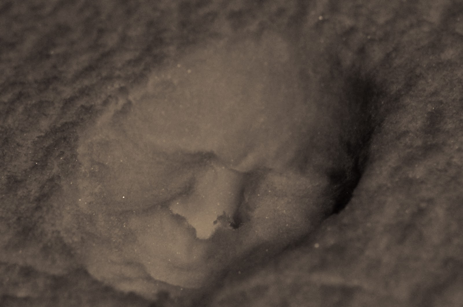 [LR snow face-3.jpg]