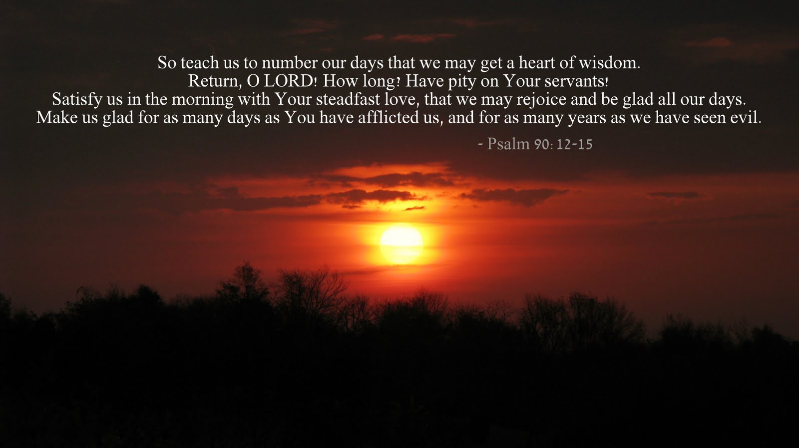 glimpses-of-creation-psalms