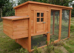 Build A Chicken Coop House