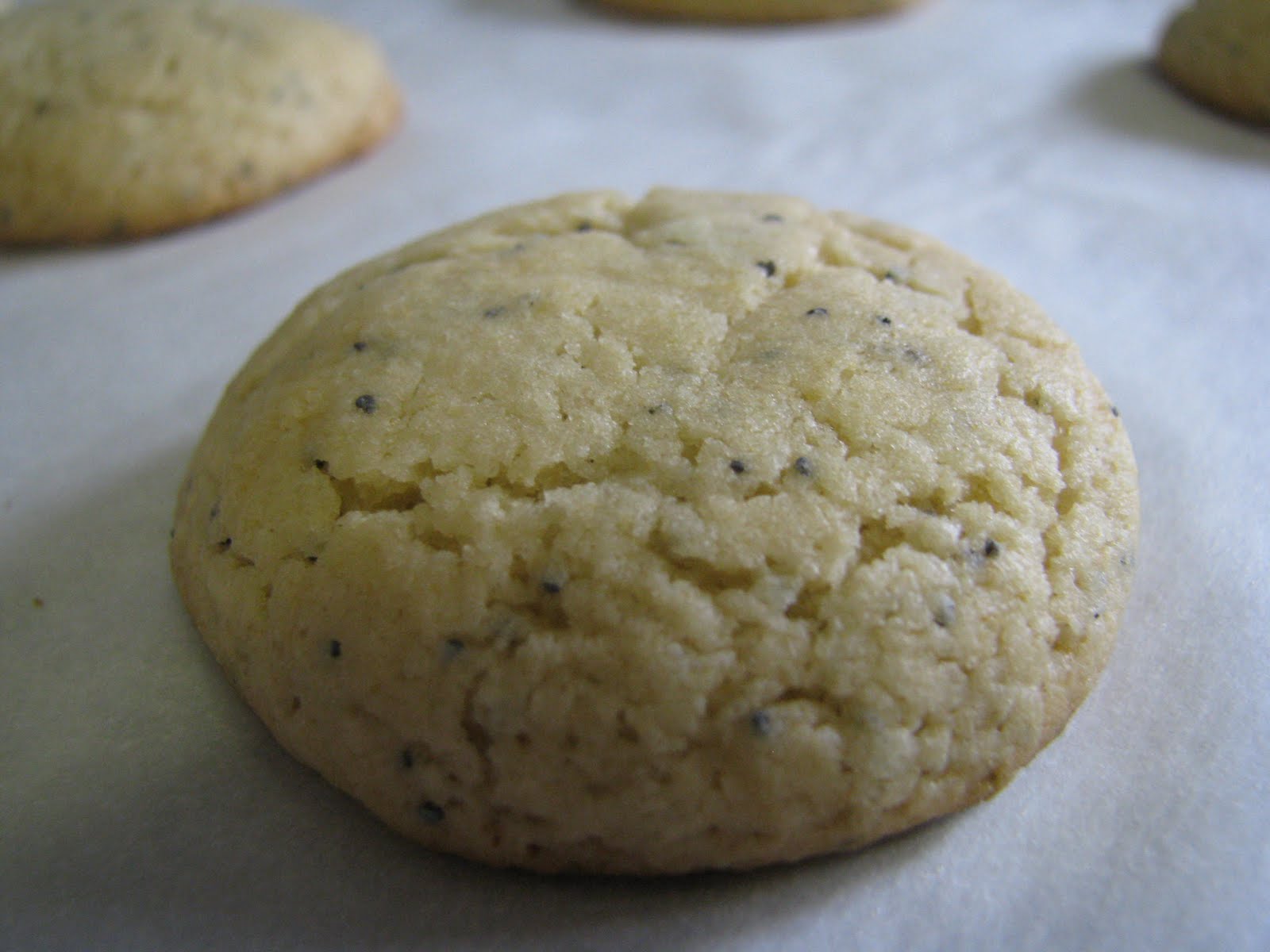 So We Think We Can Cook! Lemon Poppy Seed Sugar Cookies