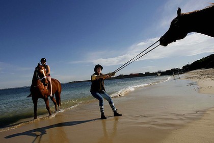 [horsebeach-420x0.jpg]