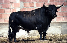 TORO DE CARLOS NUÑEZ Nº 105 G 0 NOMBRE BANDERITO