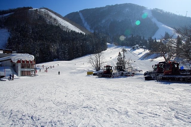 [IMG_5005.JPG]