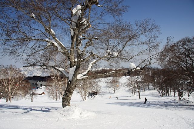 [IMG_2211.jpg]
