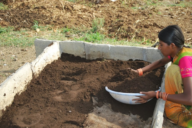 Dairy -wormy compost 0 (3)