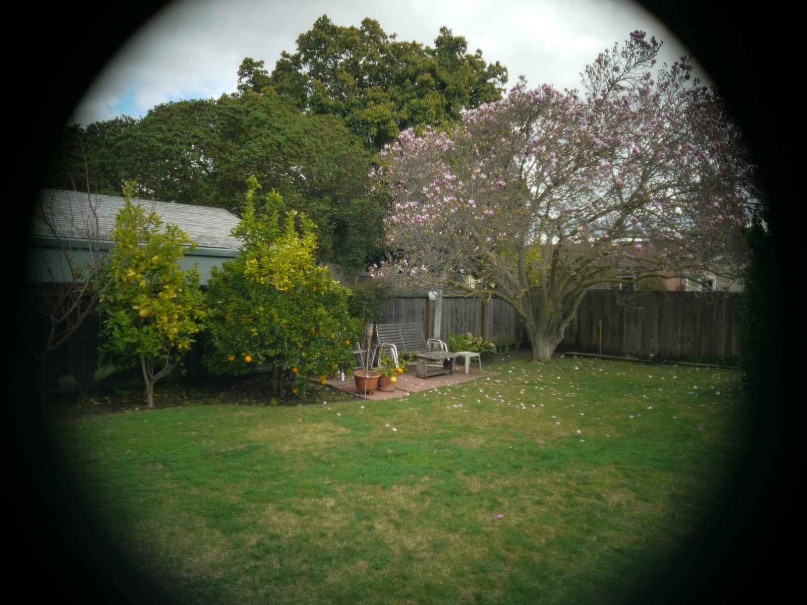 [cosmicar+wide+open.jpg]