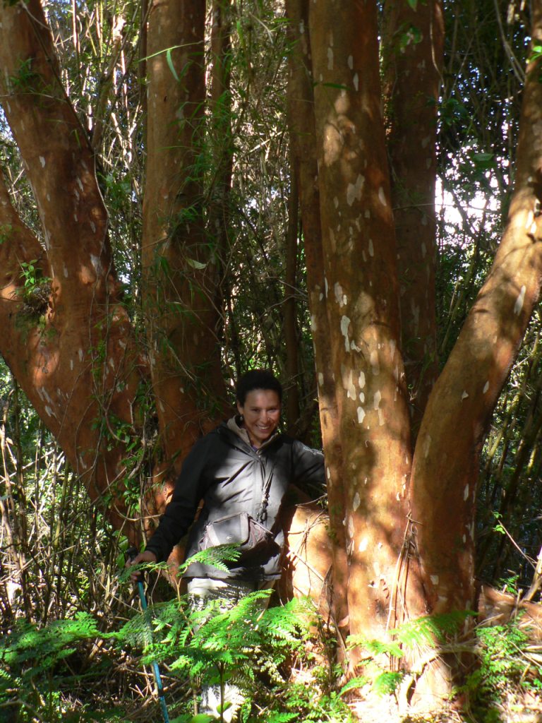 Caminando hacia la patagonia: Desvío Pto Raúl Marín Balmaceda - barcaza ...