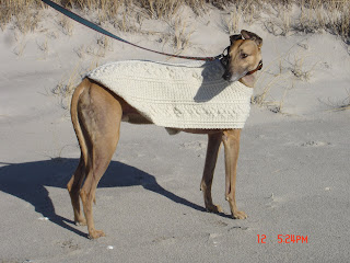 Dog Snood - AllFreeCrochet.com - Free Crochet Patterns, Crochet