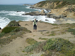 Bodega Bay Dunes