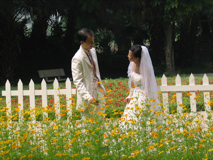 Không có tình yêu vĩnh cửu