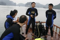 halong diving tours
