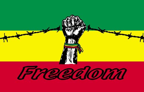 Freedom Fist Flag 100% Polyester, Bright Colors