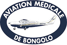 AMB Logo