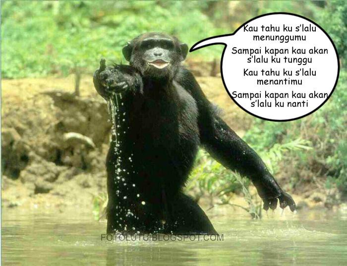 Kumpulan Foto Lucu: Oktober 2009