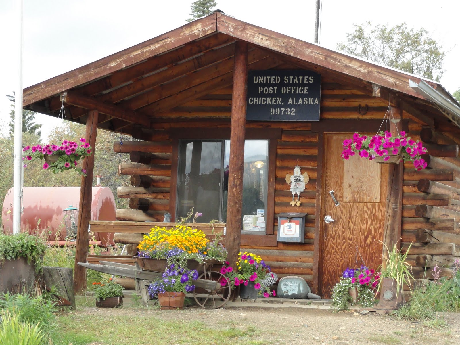 North to Alaska! Pictures of Tok to Chicken and back