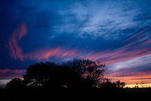 Dawn in Central Australia