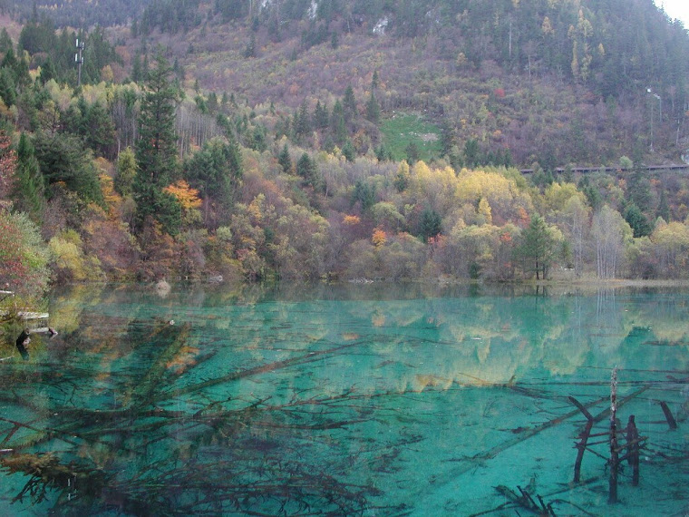 Top pics from China travels 2006-2007