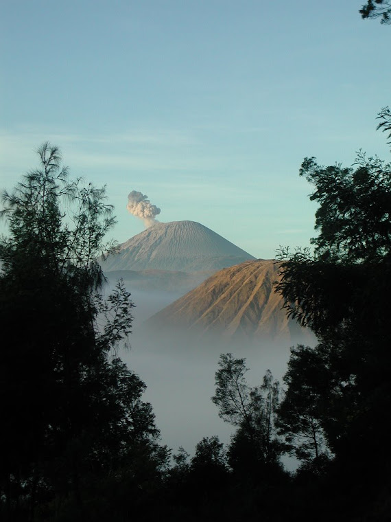 Top pics from Indonesia trip 2008