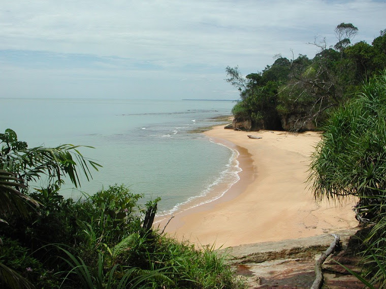 Top pics from Borneo trip 2008