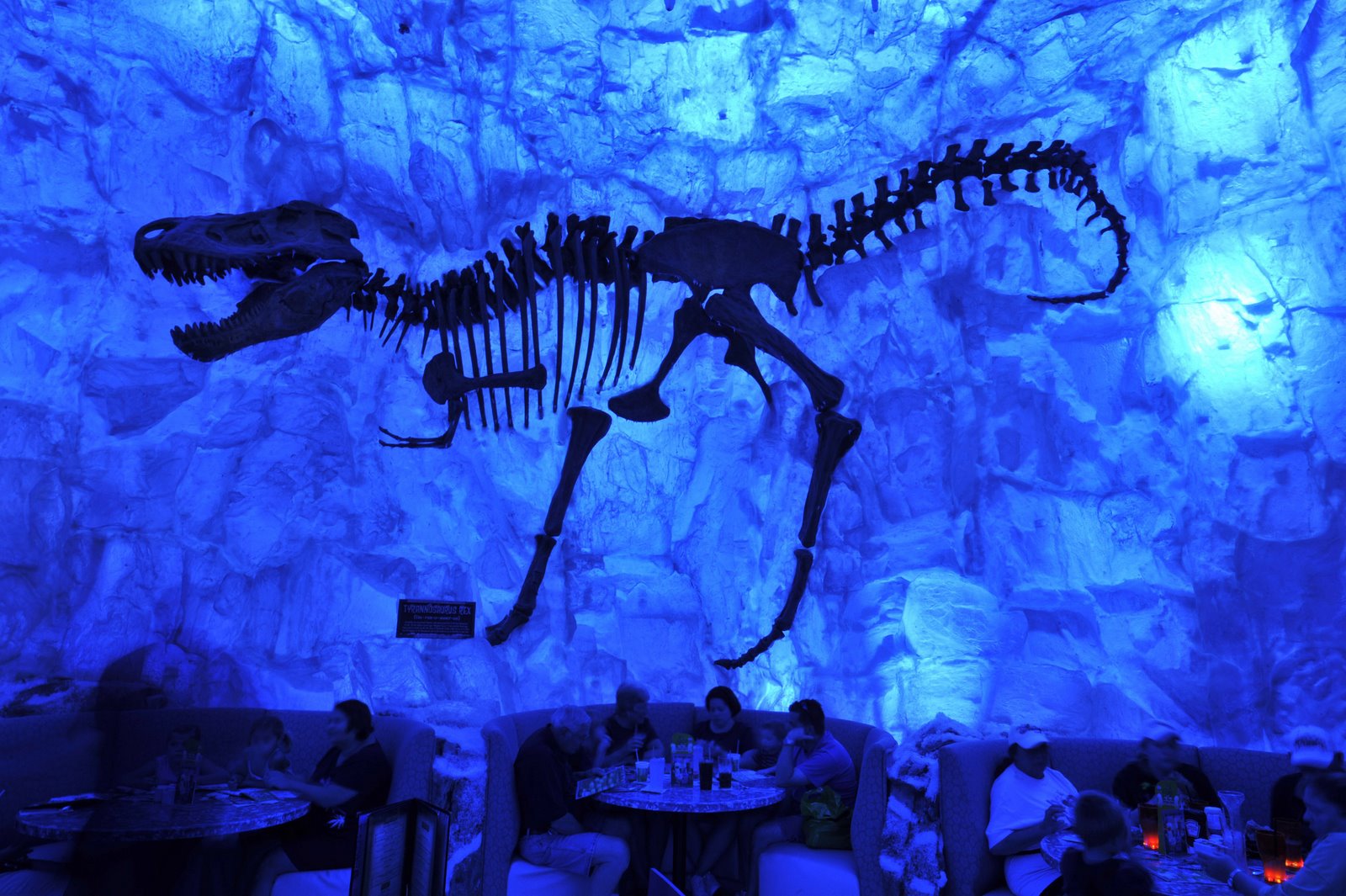 [1017AS_5072GD45531479.jpg]