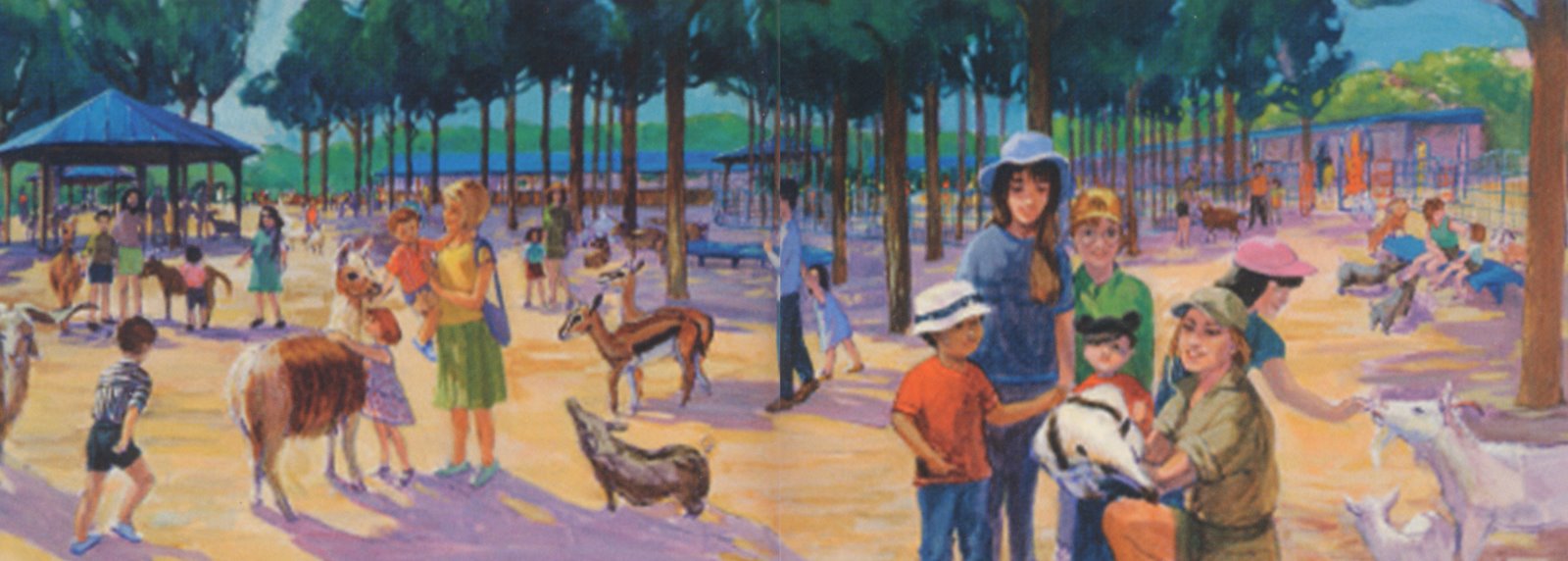 [conservation+4.jpg]