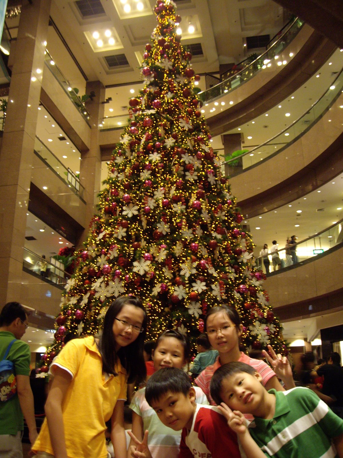 [IMGP7186.JPG]