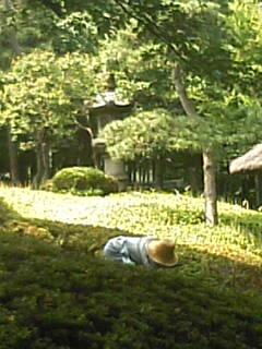[Happo-en+gardener]