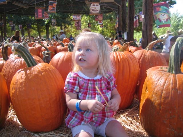 [Pumpkin+Patch,+10-18-08+003.jpg]