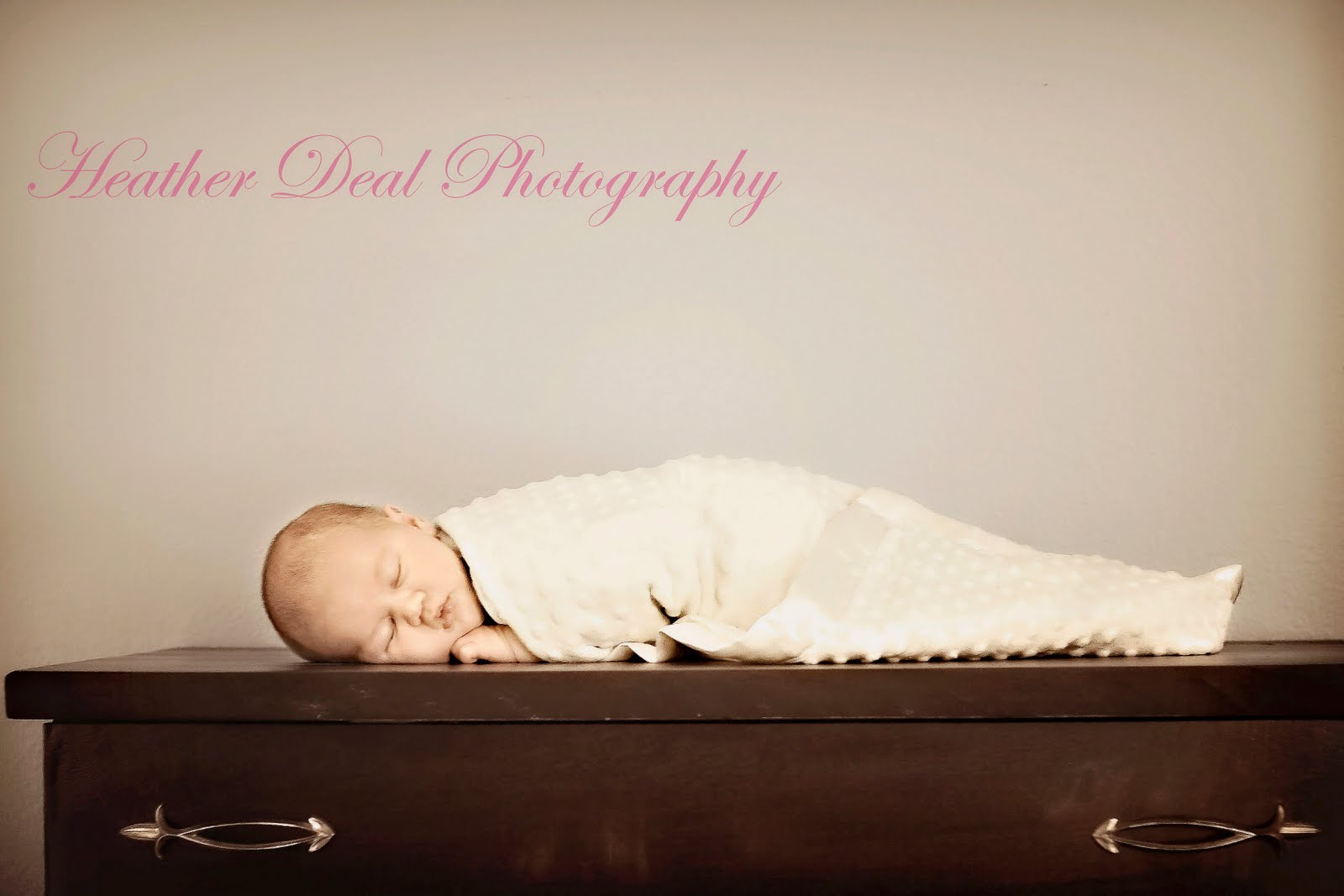 Heather Deal Photography