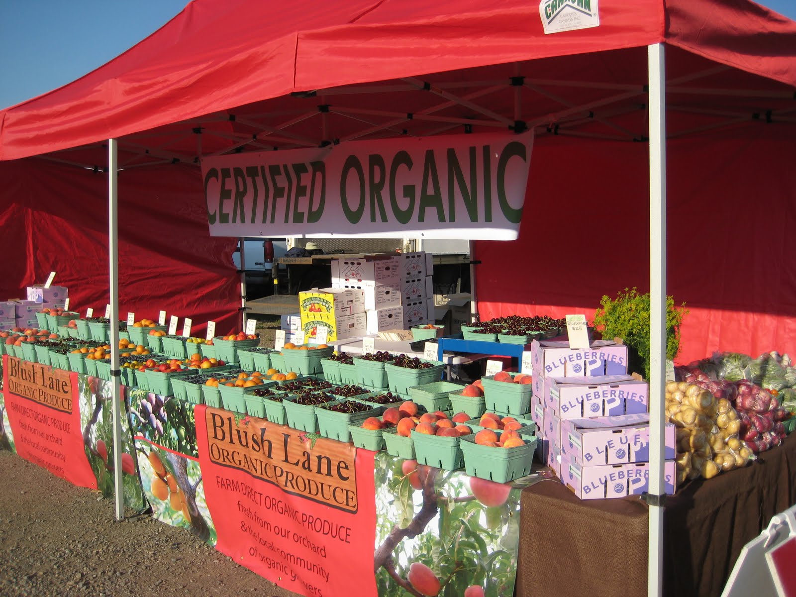 Best of Blush Outdoor Markets