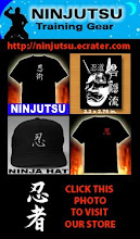 Visit the Ninja Store. Check it out.