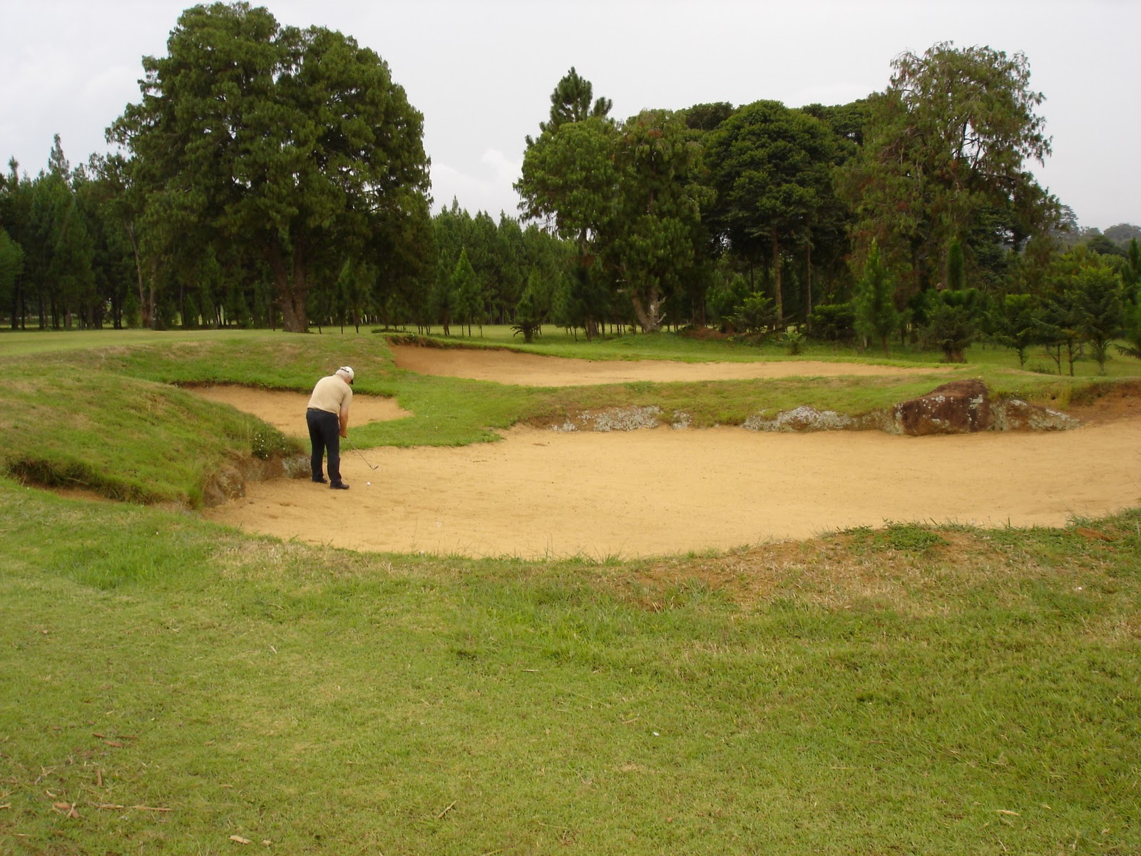 speed dating birds hill golf club