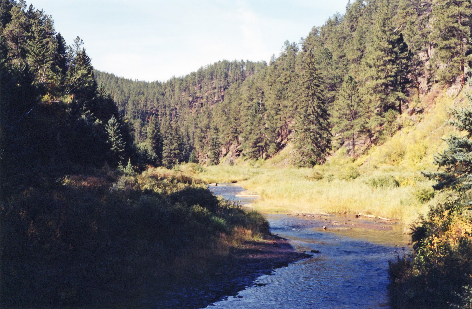 The Adventure Archives of Eric and Noelle Black Hills National Forest