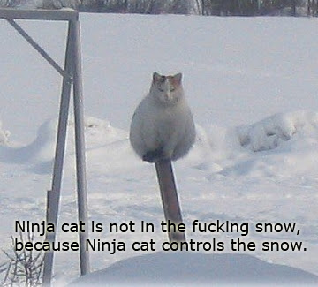 ninja-cat.jpg