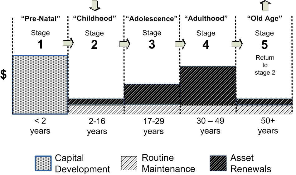 Asset Insights What happens over the life of a building?