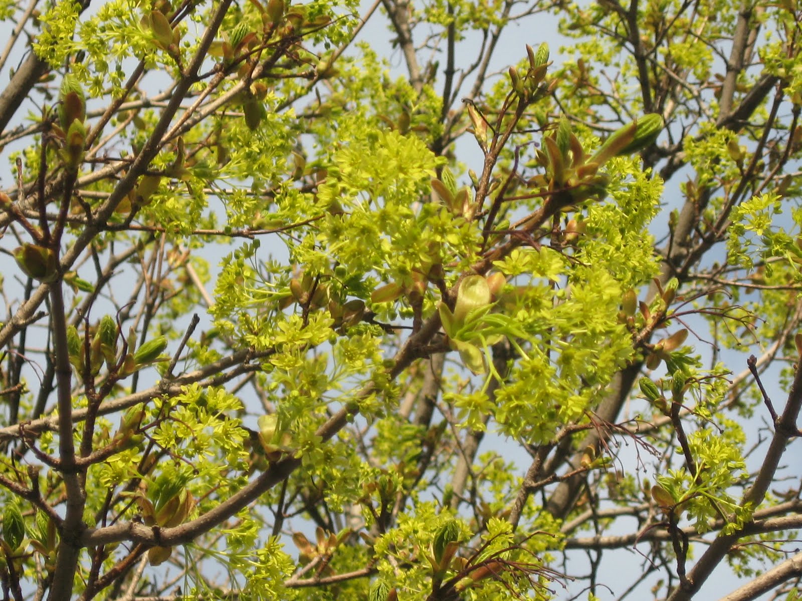 The Coffee Shop: Tuesday of quotes.... and verses!