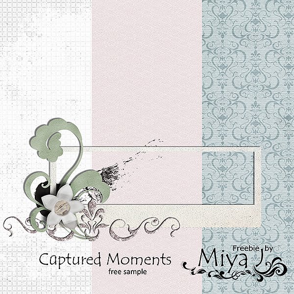 http://2.bp.blogspot.com/_OUQaA7Oy_mA/TGCDbUCmDgI/AAAAAAAAFF4/mC7V8ZP5VT8/s1600/Miya+J_Captured+moments_Free+Sample_Preview.jpg