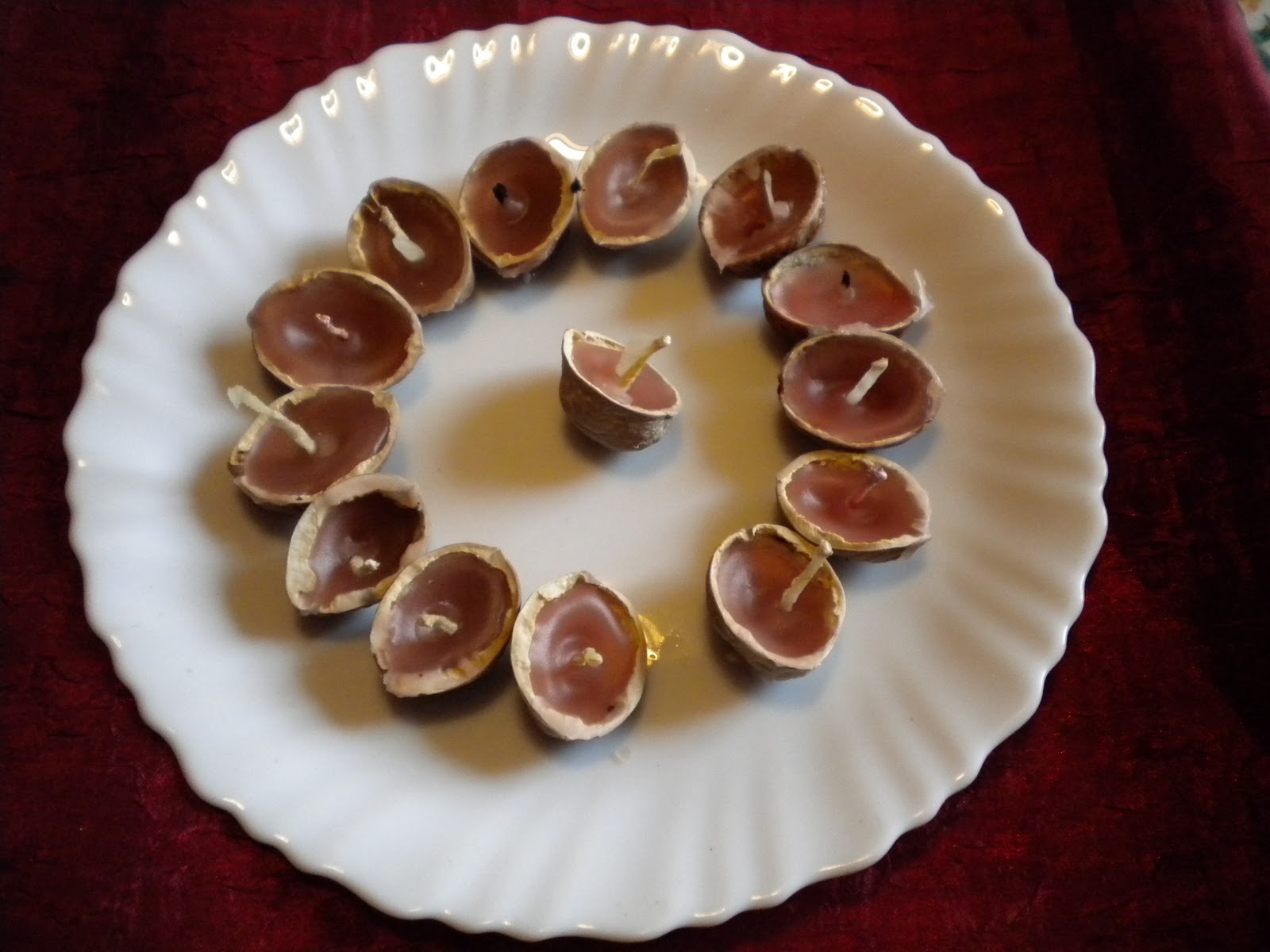 13 Active Que faire avec des coquilles de noix