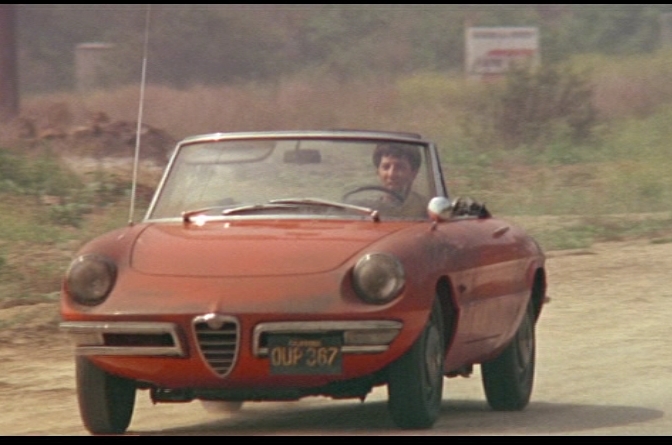 [GraduateSpider.jpg]